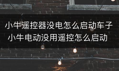小牛遥控器没电怎么启动车子 小牛电动没用遥控怎么启动