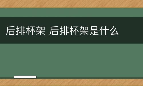 后排杯架 后排杯架是什么