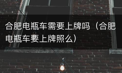 合肥电瓶车需要上牌吗（合肥电瓶车要上牌照么）
