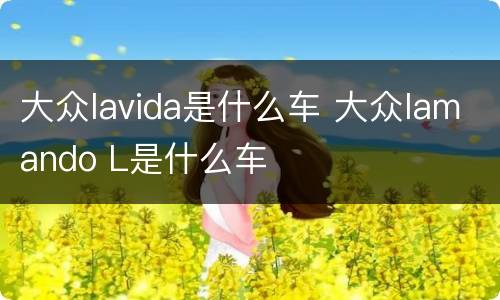 大众lavida是什么车 大众lamando L是什么车