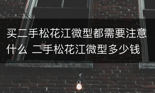 买二手松花江微型都需要注意什么 二手松花江微型多少钱