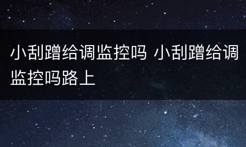 小刮蹭给调监控吗 小刮蹭给调监控吗路上