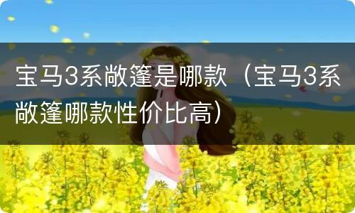 宝马3系敞篷是哪款（宝马3系敞篷哪款性价比高）
