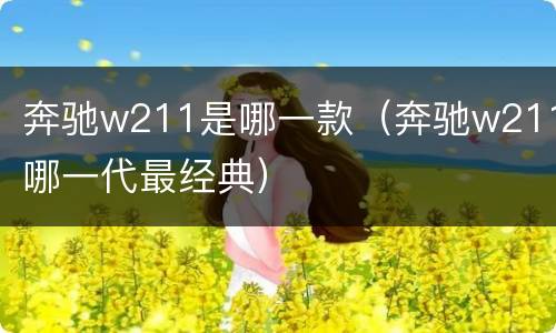 奔驰w211是哪一款（奔驰w211哪一代最经典）