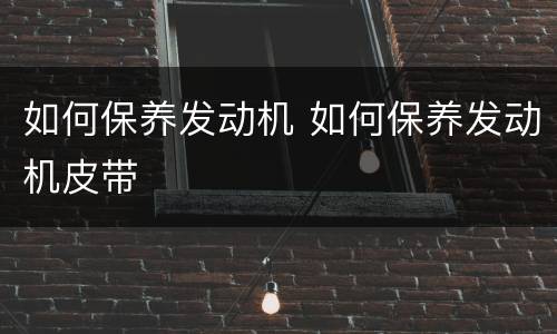 如何保养发动机 如何保养发动机皮带