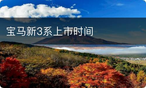 宝马新3系上市时间