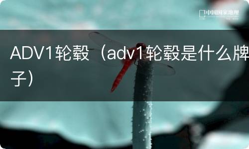 ADV1轮毂（adv1轮毂是什么牌子）