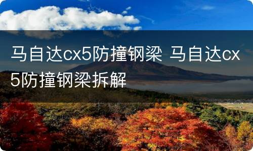 马自达cx5防撞钢梁 马自达cx5防撞钢梁拆解