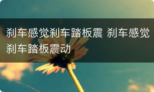 刹车感觉刹车踏板震 刹车感觉刹车踏板震动