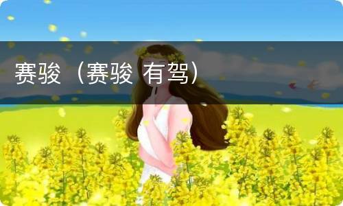 赛骏（赛骏 有驾）