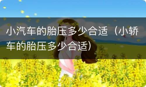 小汽车的胎压多少合适（小轿车的胎压多少合适）