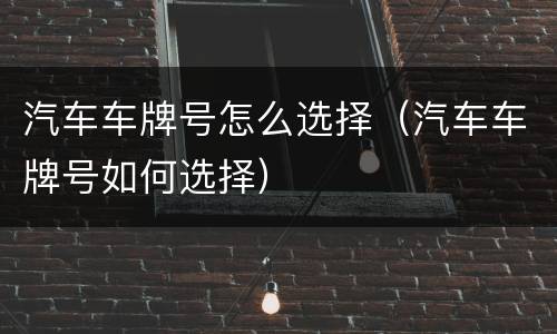 汽车车牌号怎么选择（汽车车牌号如何选择）
