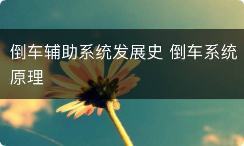 倒车辅助系统发展史 倒车系统原理