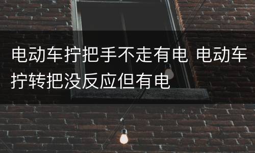 电动车拧把手不走有电 电动车拧转把没反应但有电