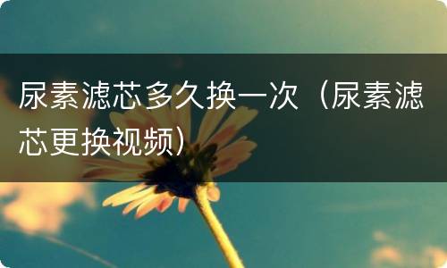 尿素滤芯多久换一次（尿素滤芯更换视频）