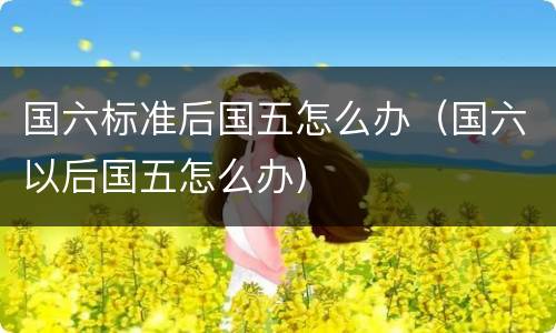 国六标准后国五怎么办（国六以后国五怎么办）