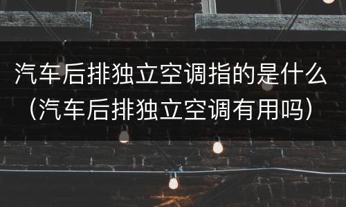 汽车后排独立空调指的是什么（汽车后排独立空调有用吗）