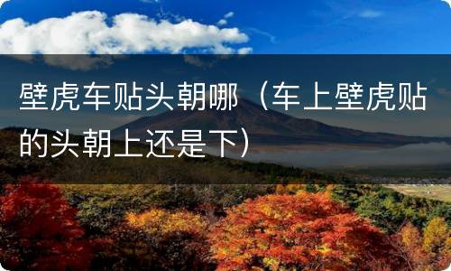 壁虎车贴头朝哪（车上壁虎贴的头朝上还是下）