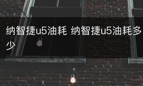 纳智捷u5油耗 纳智捷u5油耗多少