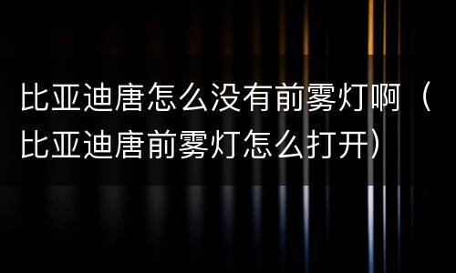 比亚迪唐怎么没有前雾灯啊（比亚迪唐前雾灯怎么打开）