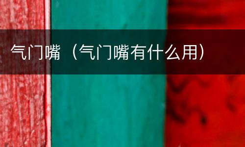 气门嘴（气门嘴有什么用）