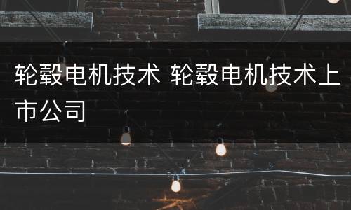 轮毂电机技术 轮毂电机技术上市公司