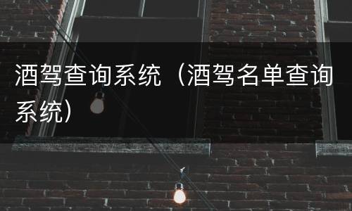 酒驾查询系统（酒驾名单查询系统）
