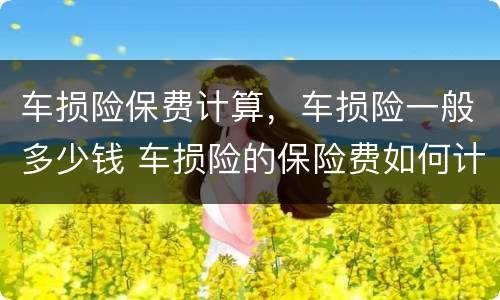 车损险保费计算，车损险一般多少钱 车损险的保险费如何计算
