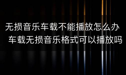 无损音乐车载不能播放怎么办 车载无损音乐格式可以播放吗