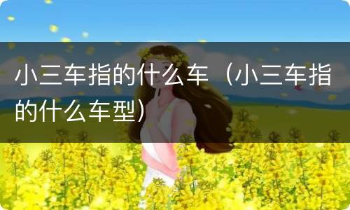 小三车指的什么车（小三车指的什么车型）