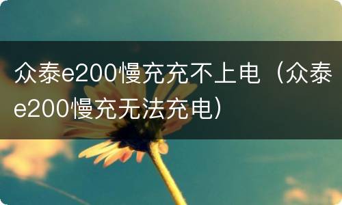 众泰e200慢充充不上电（众泰e200慢充无法充电）