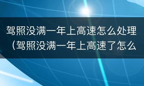 驾照没满一年上高速怎么处理（驾照没满一年上高速了怎么办）