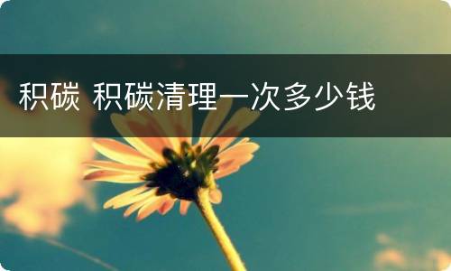 积碳 积碳清理一次多少钱