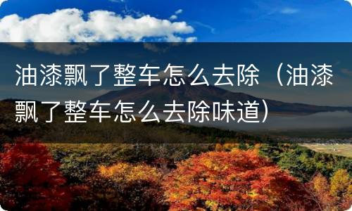 油漆飘了整车怎么去除（油漆飘了整车怎么去除味道）
