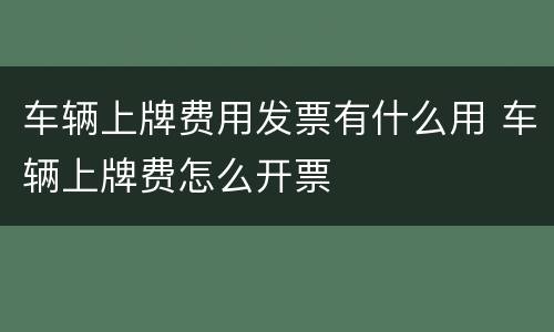 车辆上牌费用发票有什么用 车辆上牌费怎么开票
