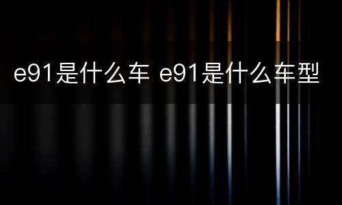 e91是什么车 e91是什么车型