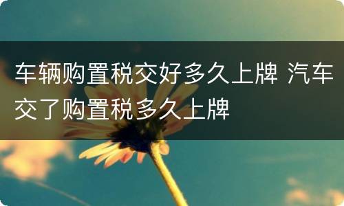 车辆购置税交好多久上牌 汽车交了购置税多久上牌