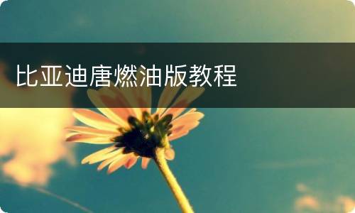 比亚迪唐燃油版教程