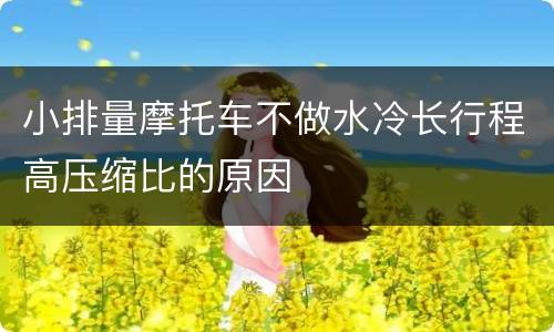 小排量摩托车不做水冷长行程高压缩比的原因