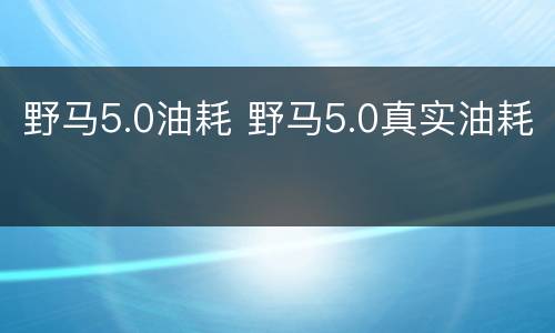 野马5.0油耗 野马5.0真实油耗
