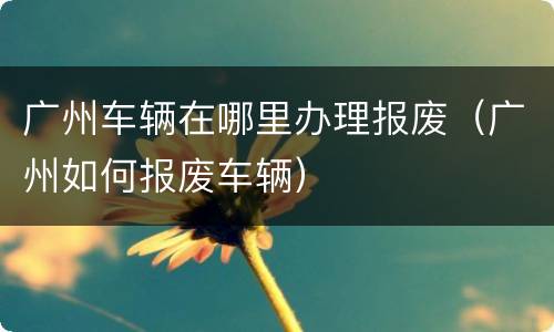 广州车辆在哪里办理报废（广州如何报废车辆）