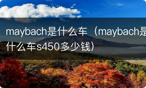 maybach是什么车（maybach是什么车s450多少钱）