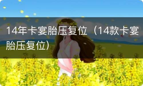 14年卡宴胎压复位（14款卡宴胎压复位）