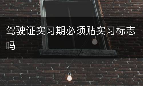 驾驶证实习期必须贴实习标志吗