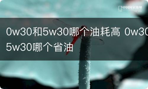 0w30和5w30哪个油耗高 0w30和5w30哪个省油