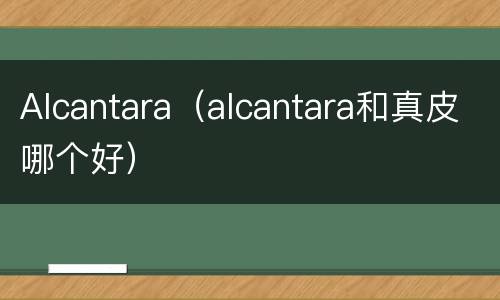 Alcantara（alcantara和真皮哪个好）