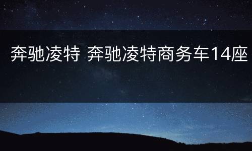 奔驰凌特 奔驰凌特商务车14座