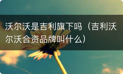 沃尔沃是吉利旗下吗（吉利沃尔沃合资品牌叫什么）