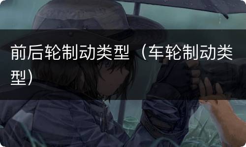 前后轮制动类型（车轮制动类型）