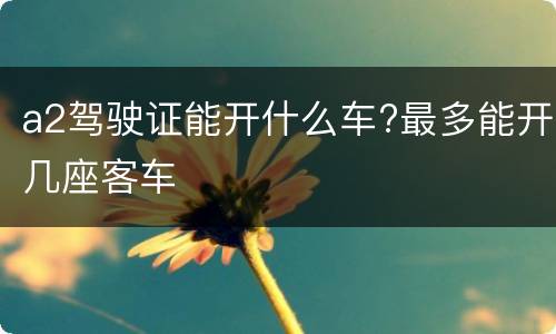 a2驾驶证能开什么车?最多能开几座客车